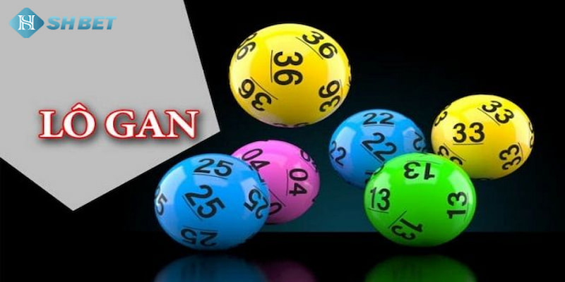 Banner www.medical-profession.al