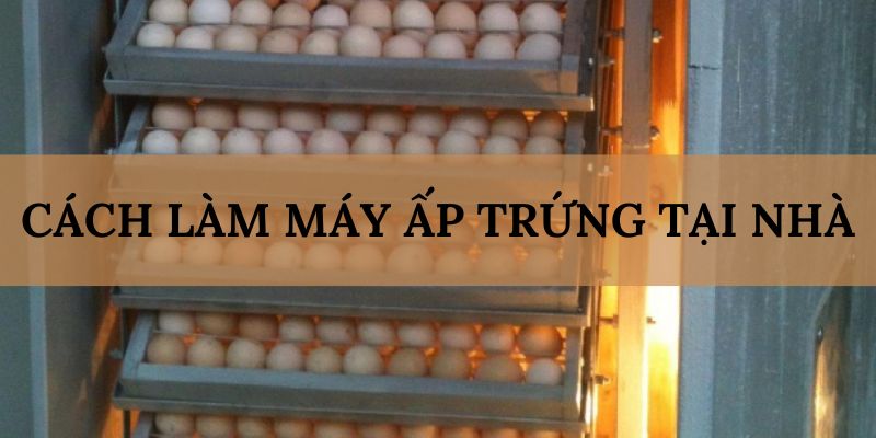 Banner www.medical-profession.al