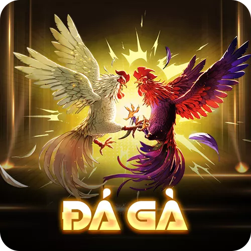 Banner www.medical-profession.al