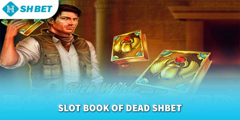 Banner www.medical-profession.al