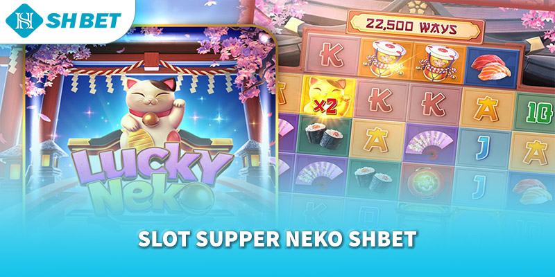 Banner www.medical-profession.al