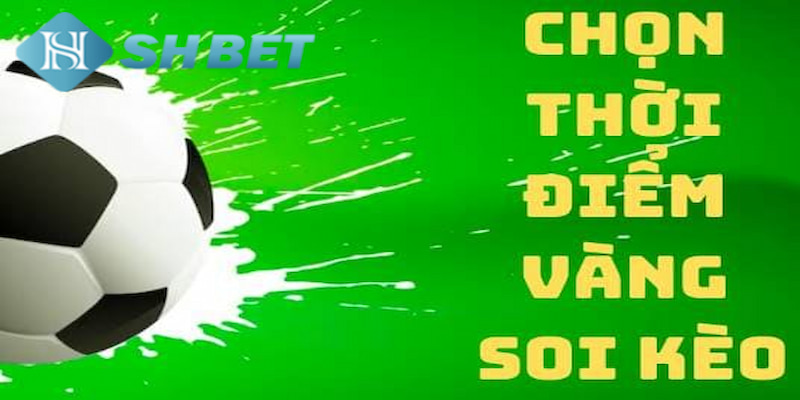 Banner www.medical-profession.al