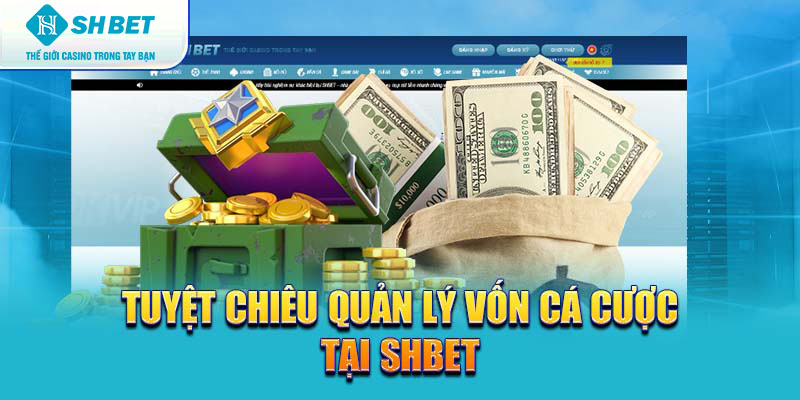 Banner www.medical-profession.al